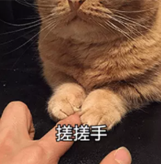 1628761202994