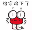 1629337656019